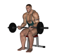 EZ Bar Curl - Seated Feet Up